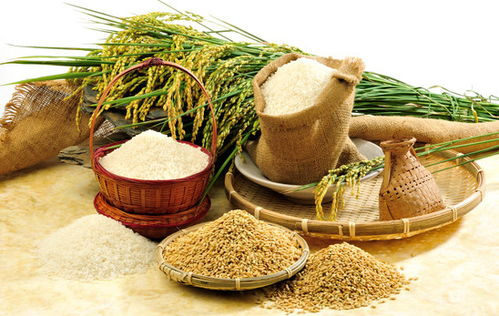 一季度國家農產品質量安全例行監(jiān)測報告顯示我國農產品總體合格率保持高位