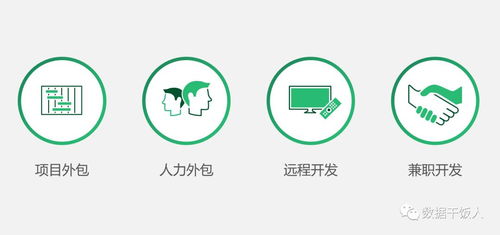 數(shù)字化轉型項目軟件外包開發(fā)痛點總結