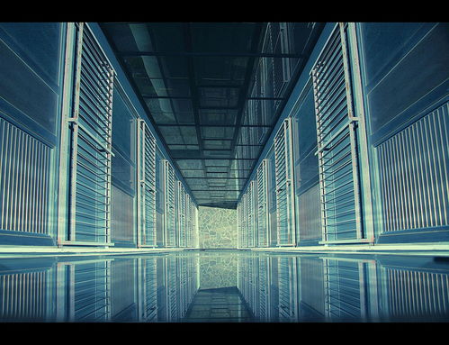 信必優(yōu) 準(zhǔn)備好進(jìn)入多元宇宙了嗎